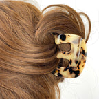 Tivoli claw  - Tortoiseshell - light